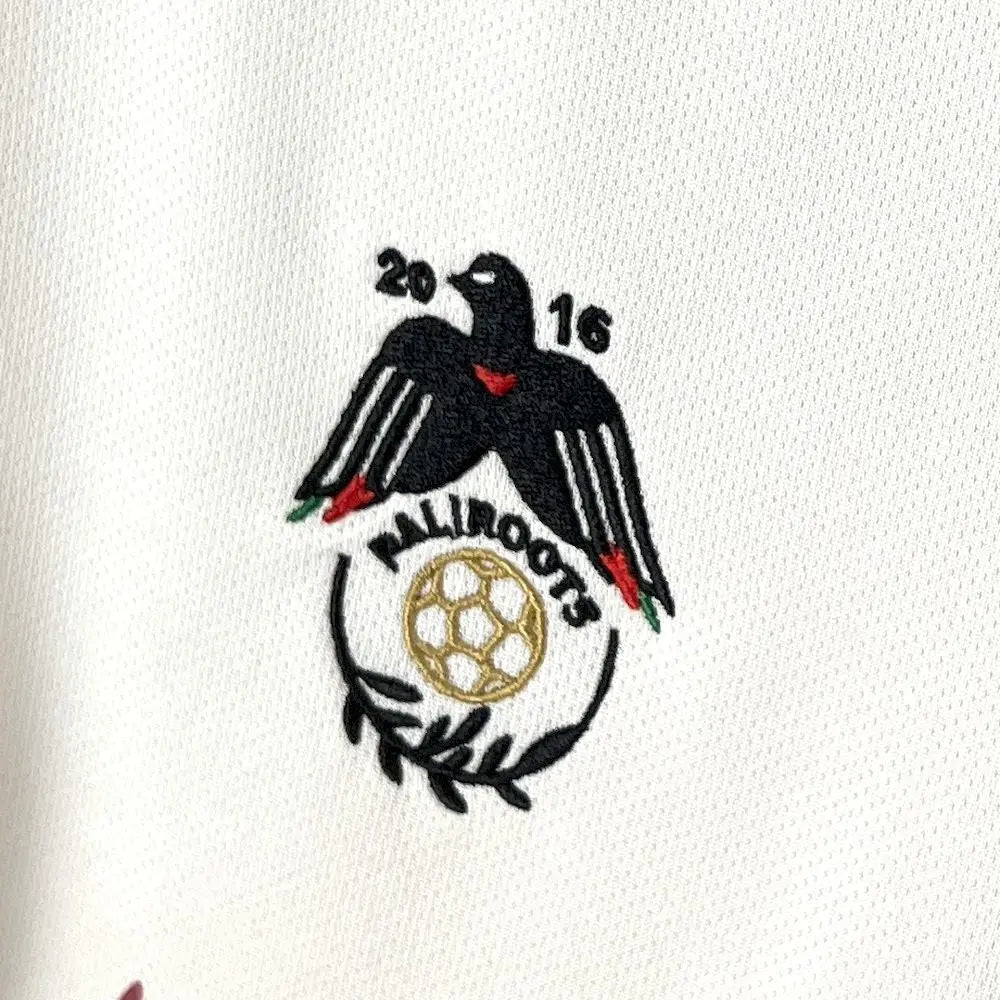 Maillot Palestine Concept